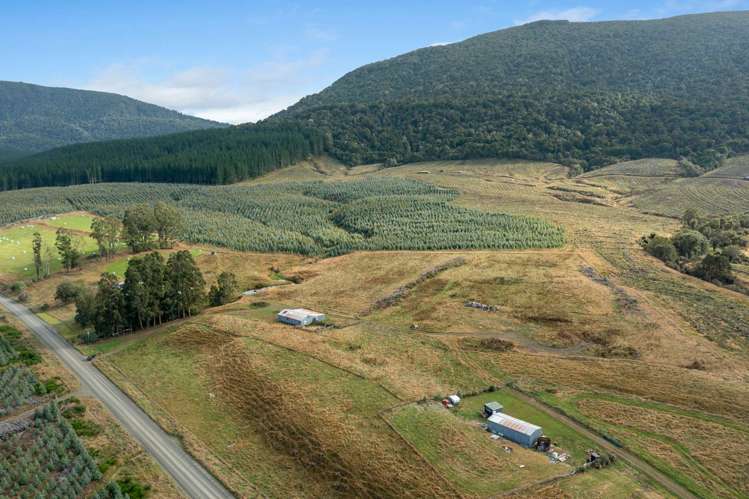 Tahakopa Valley Road Catlins Surrounds_12