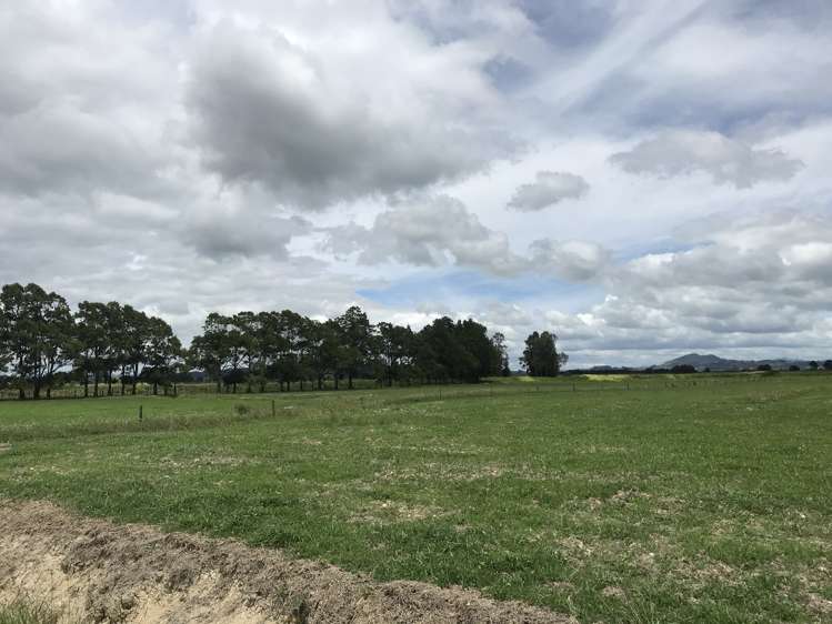 112 Mountain View Road Hikurangi_9