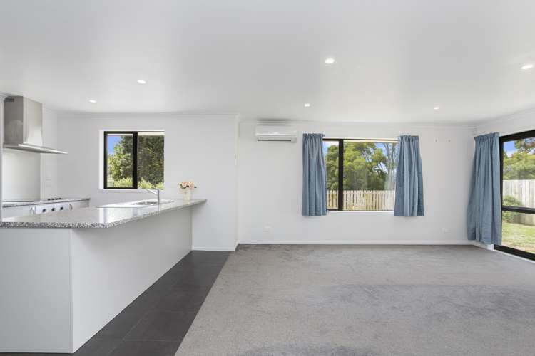 108 Tripoli Road Panmure_6