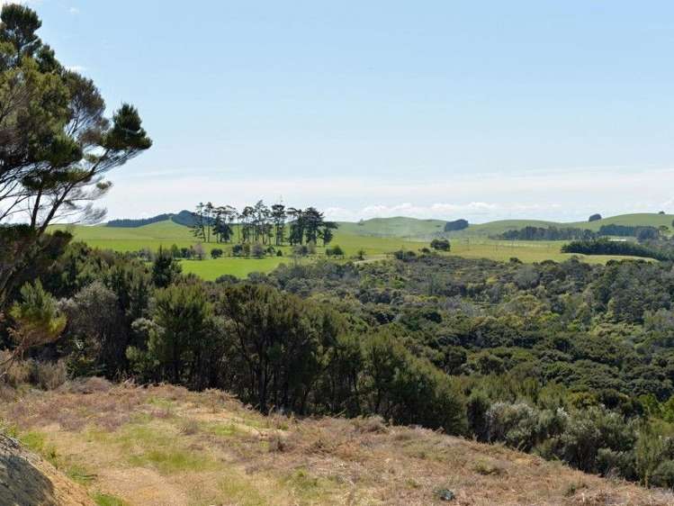 114 Mckenzie Road Kerikeri Surrounds_7