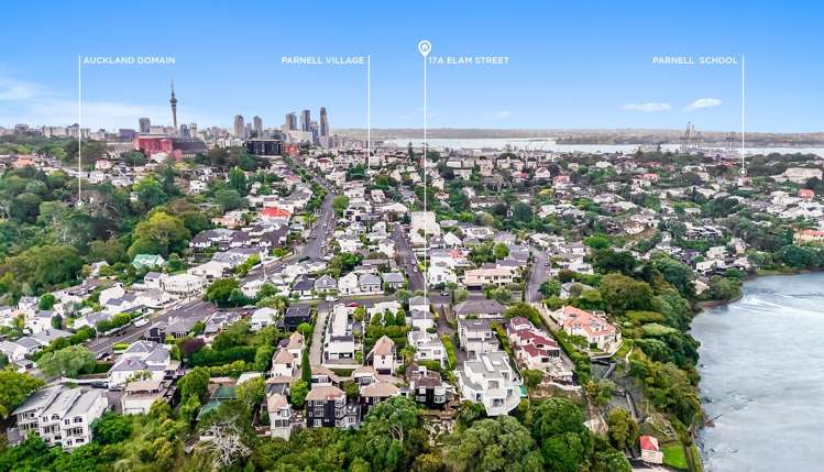 17A Elam Street Parnell_18