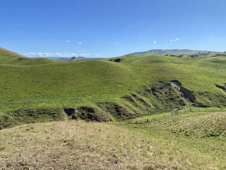 Lot 2, DP 566738, Kawera Road Hastings_6