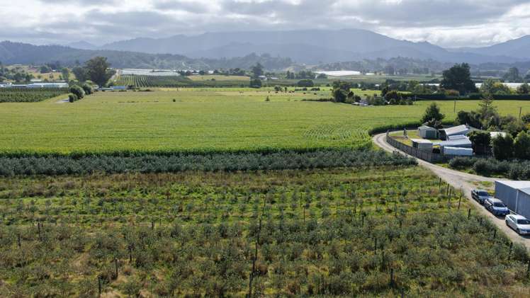 99 Central Road Lower Moutere_24