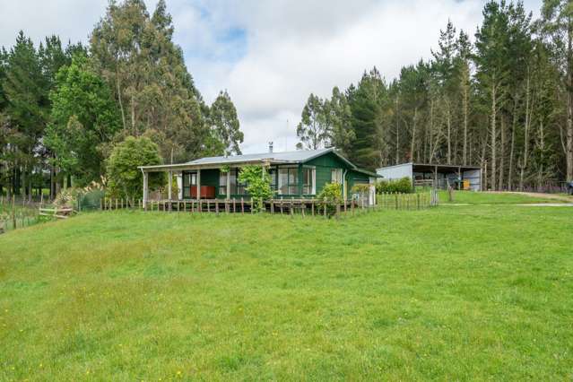 2603 State Highway 41 Kuratau_4