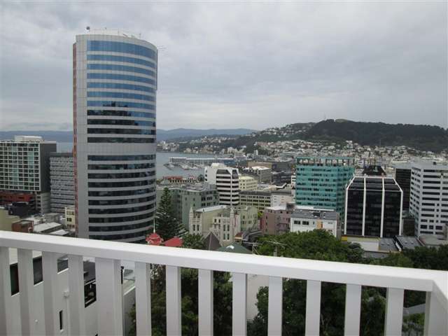 UPMARKET APARTMENT IN CENTRAL WELLINGTON