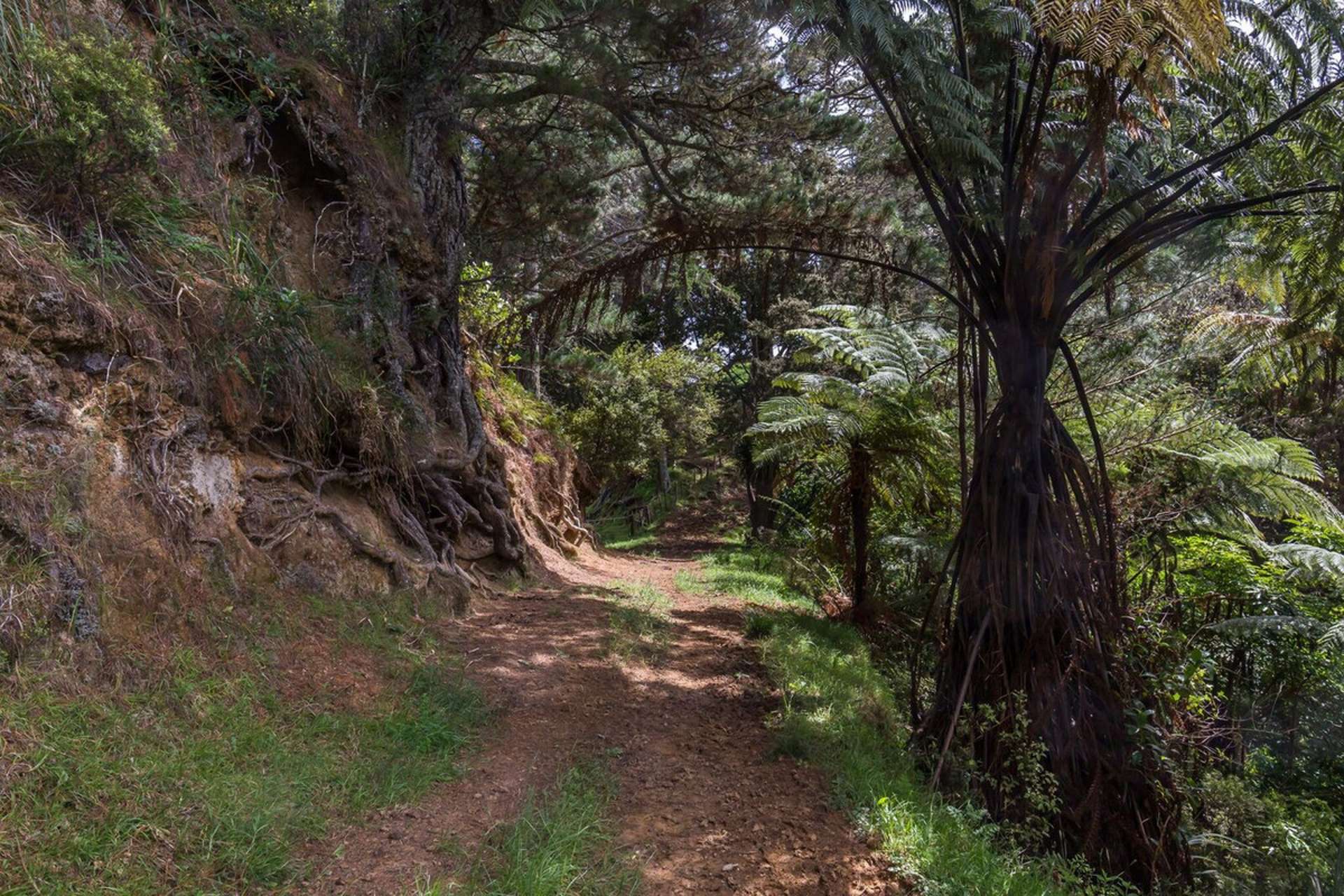 430 Krippner Road Puhoi_0