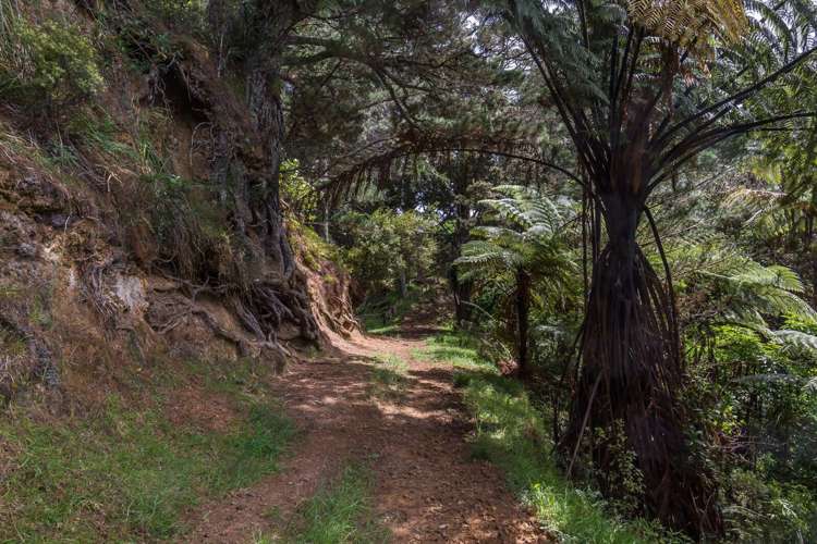 430 Krippner Road Puhoi_0