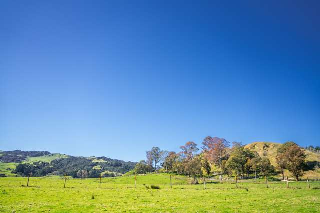 232 Kotare Road Ruakituri_3