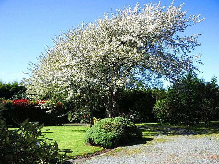 4 Alfredton Road Eketahuna_25