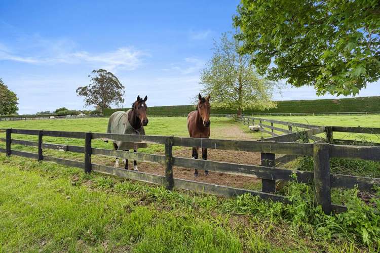 598 Marychurch Road Matangi_30