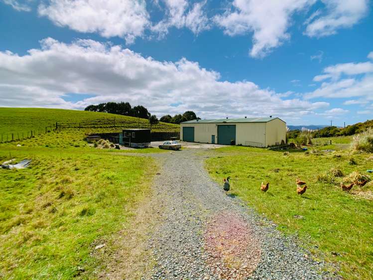 283 Trig Road Tuakau_14