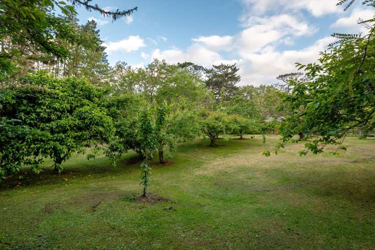 435 Pine Valley Road Dairy Flat_46