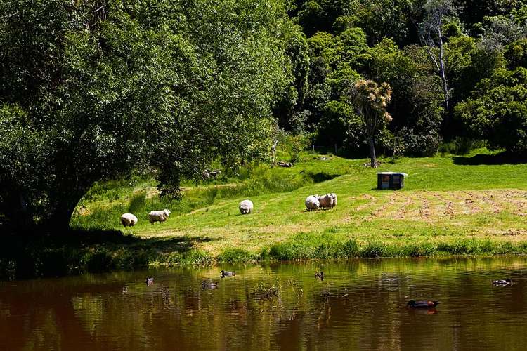 100 Factory Road Hapuku_13