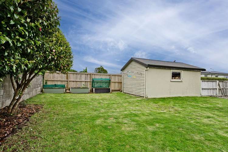 62 Helmsdale Street Waverley_20