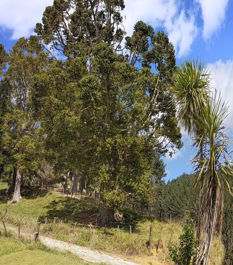 360 Burnside Road Makarau_13