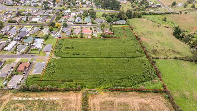 20 Coolen Place Tuakau_2