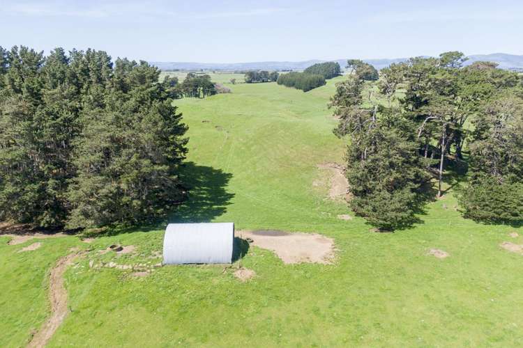 335a Couper Road Glen Oroua_6