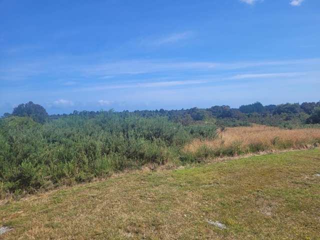 5 Middle Paddock Road Blue Spur_2