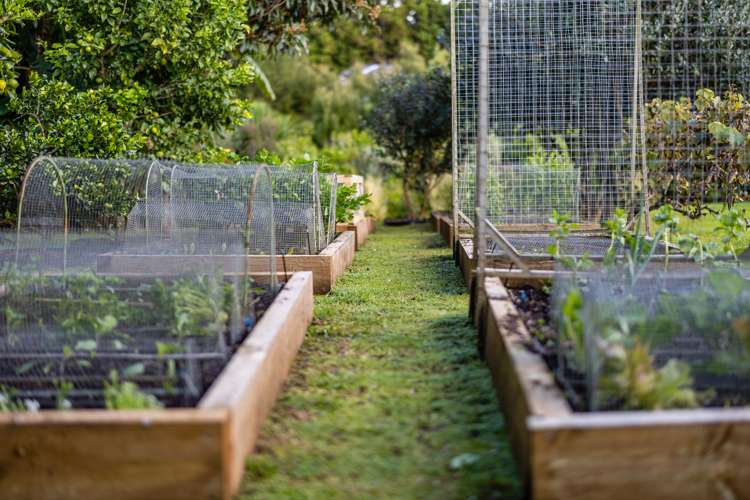 71 Riddell Road Kerikeri_19