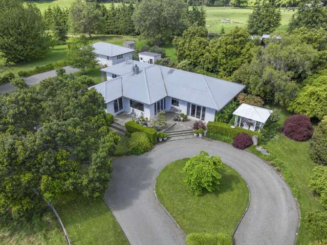364 Poporangi Road Kereru_3
