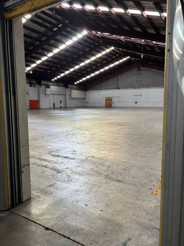 476 Jackson Street Petone_2