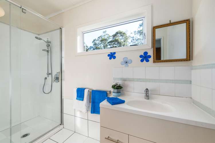 561 Opouri Road Rai Valley_16