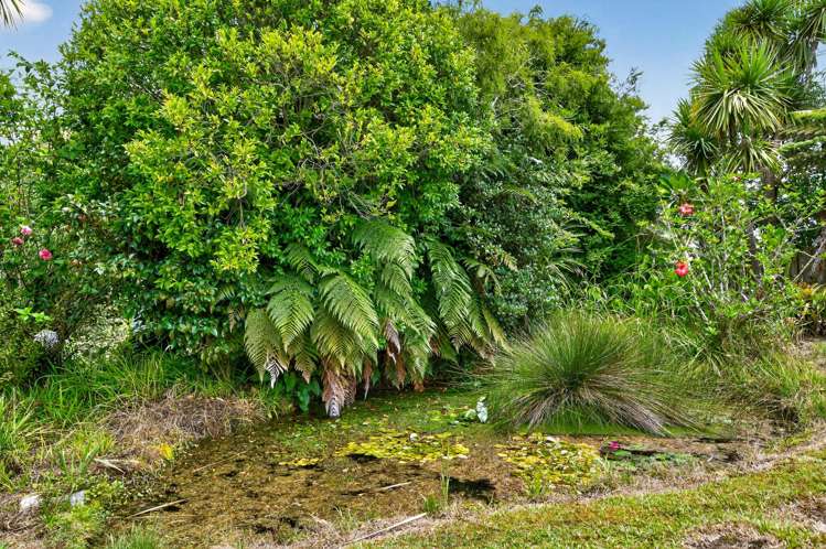 48 Cullen Street Mangawhai Heads_21