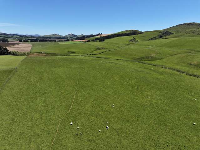 365 Glenure Hill Road Hokonui Hills_1