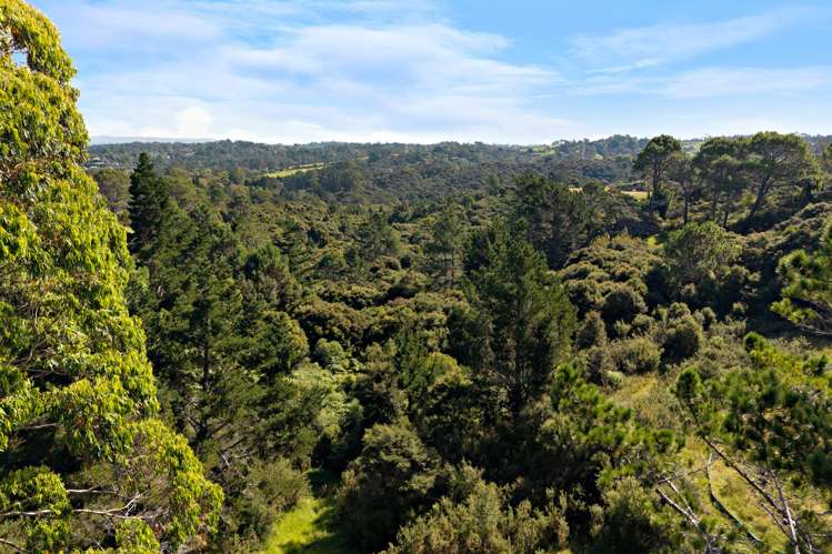 248 Albany Heights Road_1