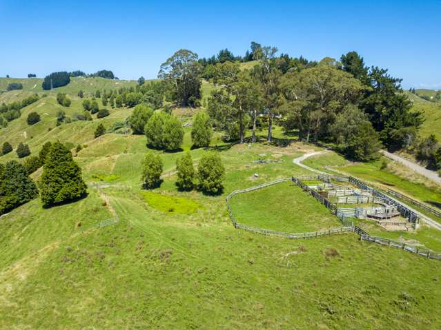 532 Titirangi Road Wairoa Country_1