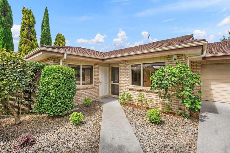 254A Kamo Road Whau Valley_0