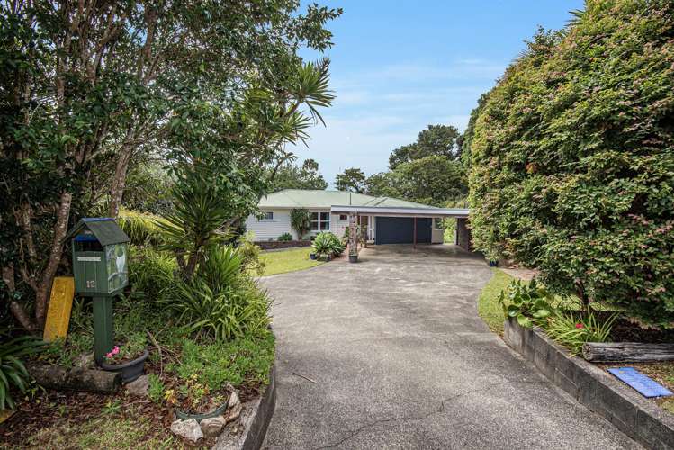 12 Kereru Street_0
