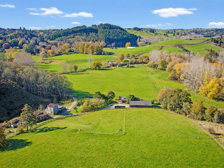 314 Thorpe-Orinoco Road Ngatimoti_32