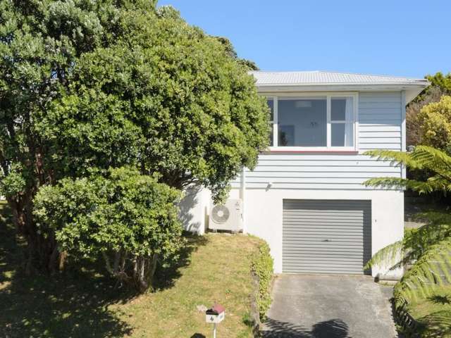 4 Rossport Street Johnsonville_1