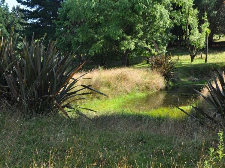 1230 Opaki Kaiparoro Road Mauriceville_27