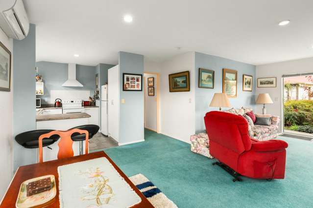 6/11 Bradley Street Paeroa_4