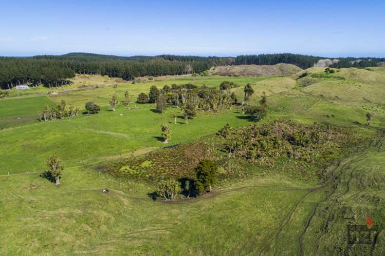 76 Brandon Hall Road Bulls_11