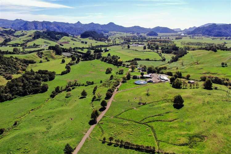 57 Hall Road Hikuai_20