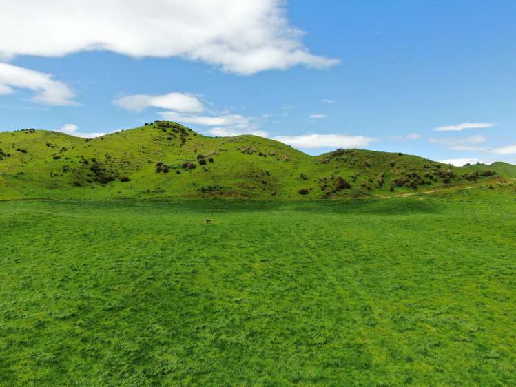 168 Matiere Road Aria_7