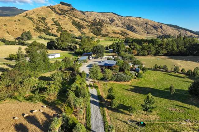 Lifestyle Living with Space And Shedding