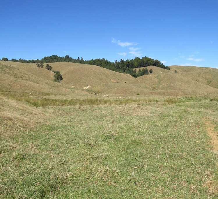 1494 State Highway 4 Aria_15