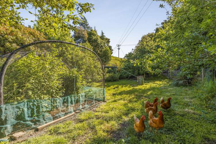 32 Wairoa Gorge Road Brightwater_21