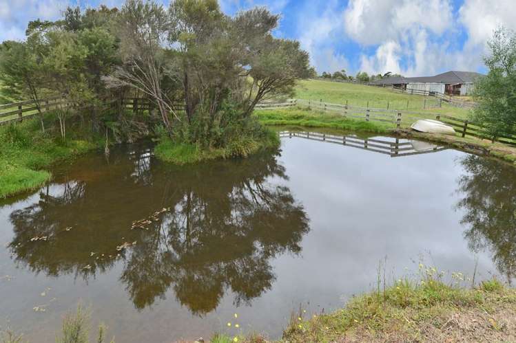 634 Crane Road Kauri_6