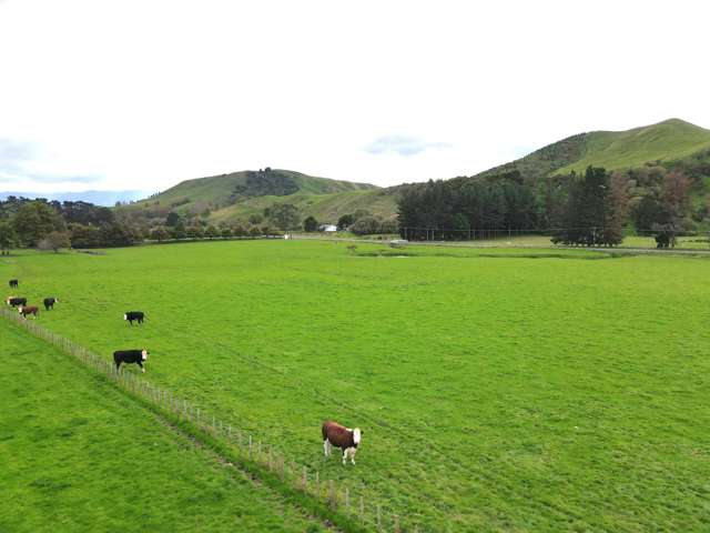 672 Weber Road Dannevirke_2