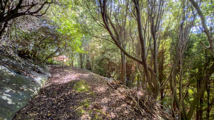 236 The Booms Avenue_2