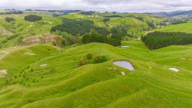 1655 Annedale Road Tinui_4
