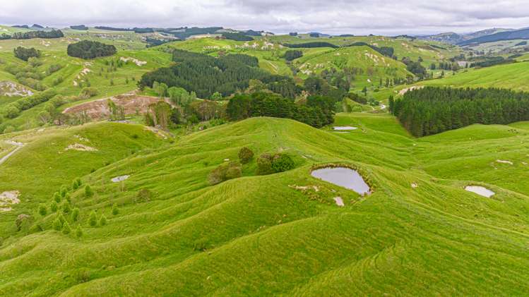 1655 Annedale Road Tinui_4