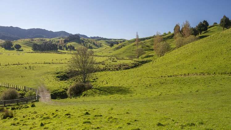 329 North Road Masterton_16