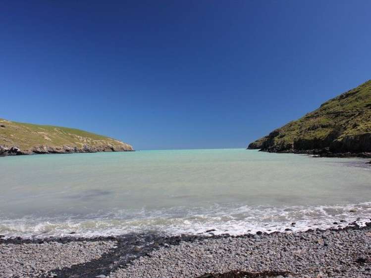 981 Te Oka Bay Road Little River_18