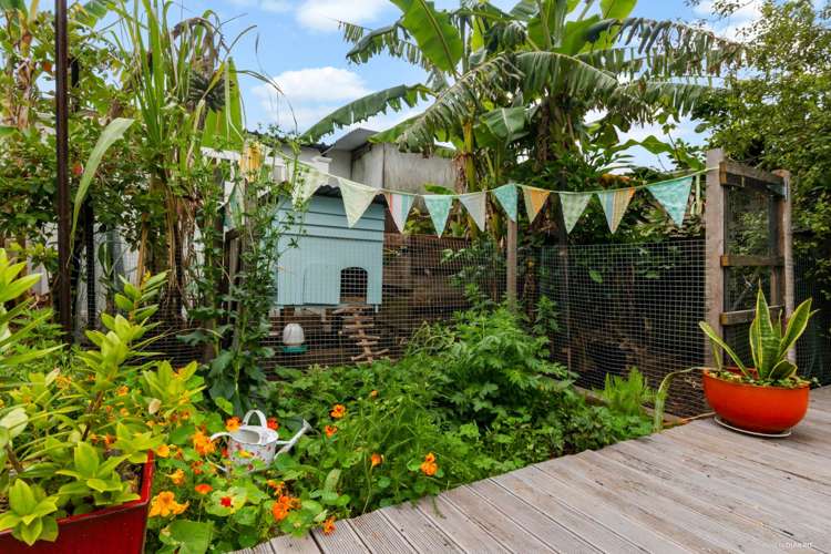 1/88 Lynwood Road New Lynn_9